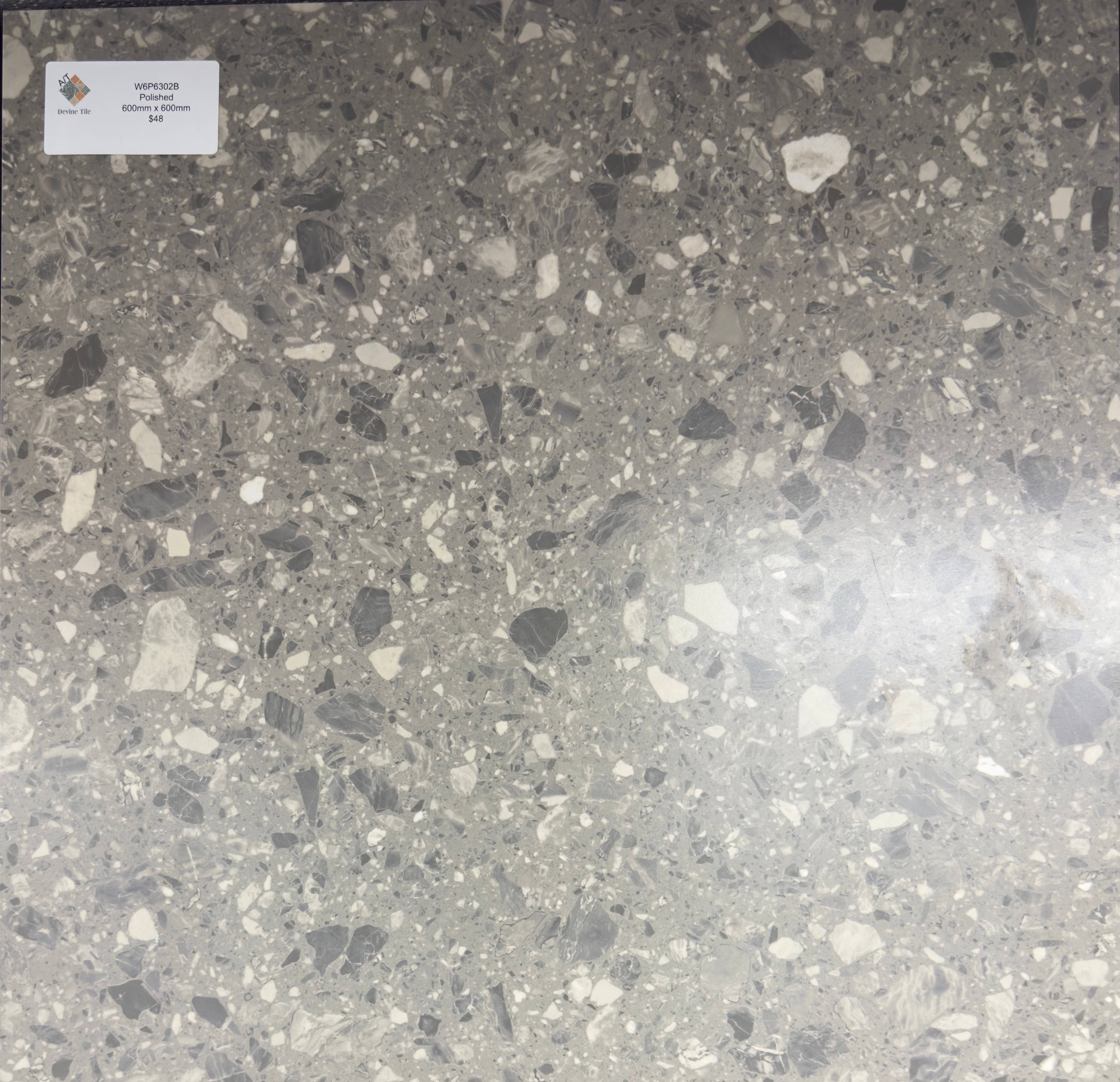 WPB5020B Polished Tile